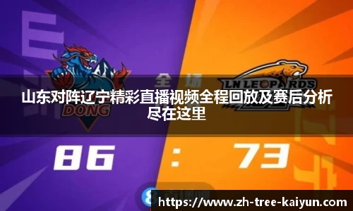 山东对阵辽宁精彩直播视频全程回放及赛后分析尽在这里