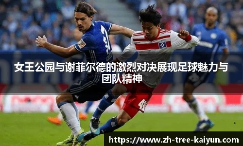 开云