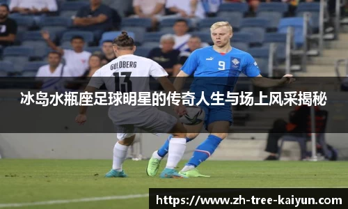 冰岛水瓶座足球明星的传奇人生与场上风采揭秘